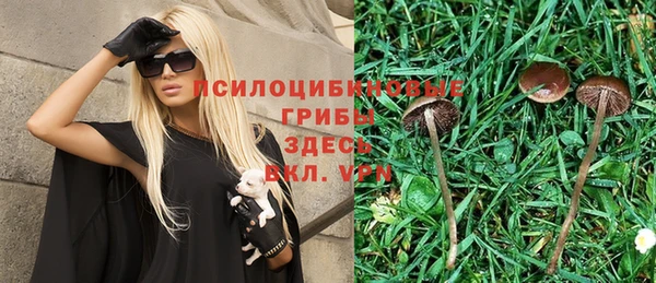 спиды Верхний Тагил