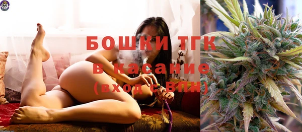 apvp Бородино
