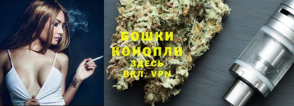 apvp Бородино