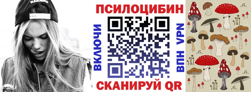 shop формула  Гаджиево  Псилоцибиновые грибы Psilocybe 