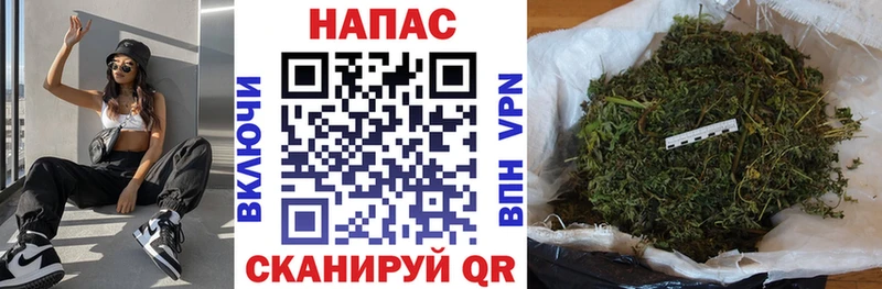 omg сайт  Гаджиево  Бошки марихуана индика 